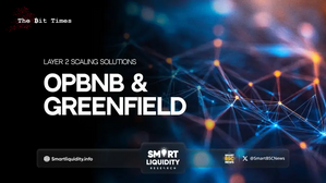 Layer 2 Scaling Solutions: opBNB & Greenfield
